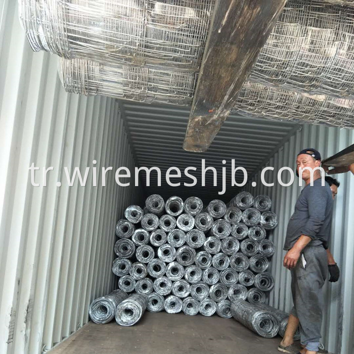 Woven Wire Field Fencing